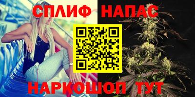 амф Нальчик